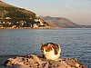 Dubrovnik_view_cat2