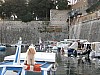 Zadar_boat_dog