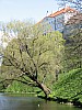 v_Tallinn_tree_park