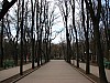 Chisinau_park