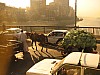 Cairo_traffic_horse_cart