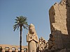 Karnak_palm_sentry