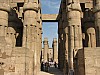 Luxor_Temple_columns2