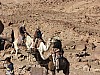 Sinai_camel_ride