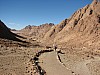 Sinai_camel_ride2