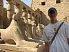 b_Karnak_sphinxes