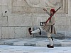 Athens_Guards2