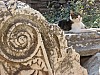 Ephesus_Cat