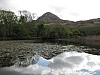 Connemara_National_Park