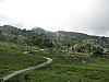 Covadonga_lakes_road