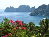 PhiPhi_viewpoint_flowers3