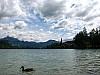 Bled_duck_lake