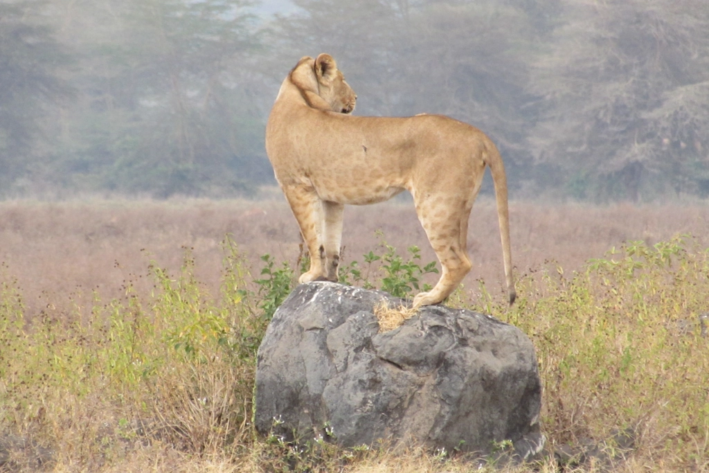 Serengeti National Park